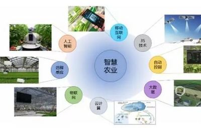 智慧農貿 以食品互聯網銷售引領現代化農業新格局