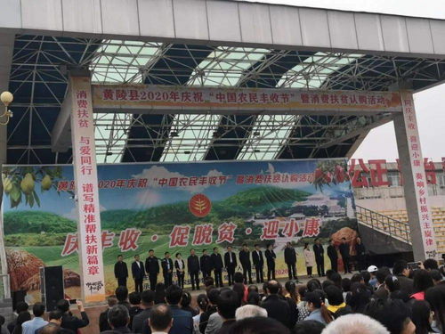 促增收，助脫貧——雙龍鎮參加全縣消費扶貧產品展銷會，開展經營助力打贏脫貧攻堅戰